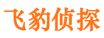 海陵侦探公司